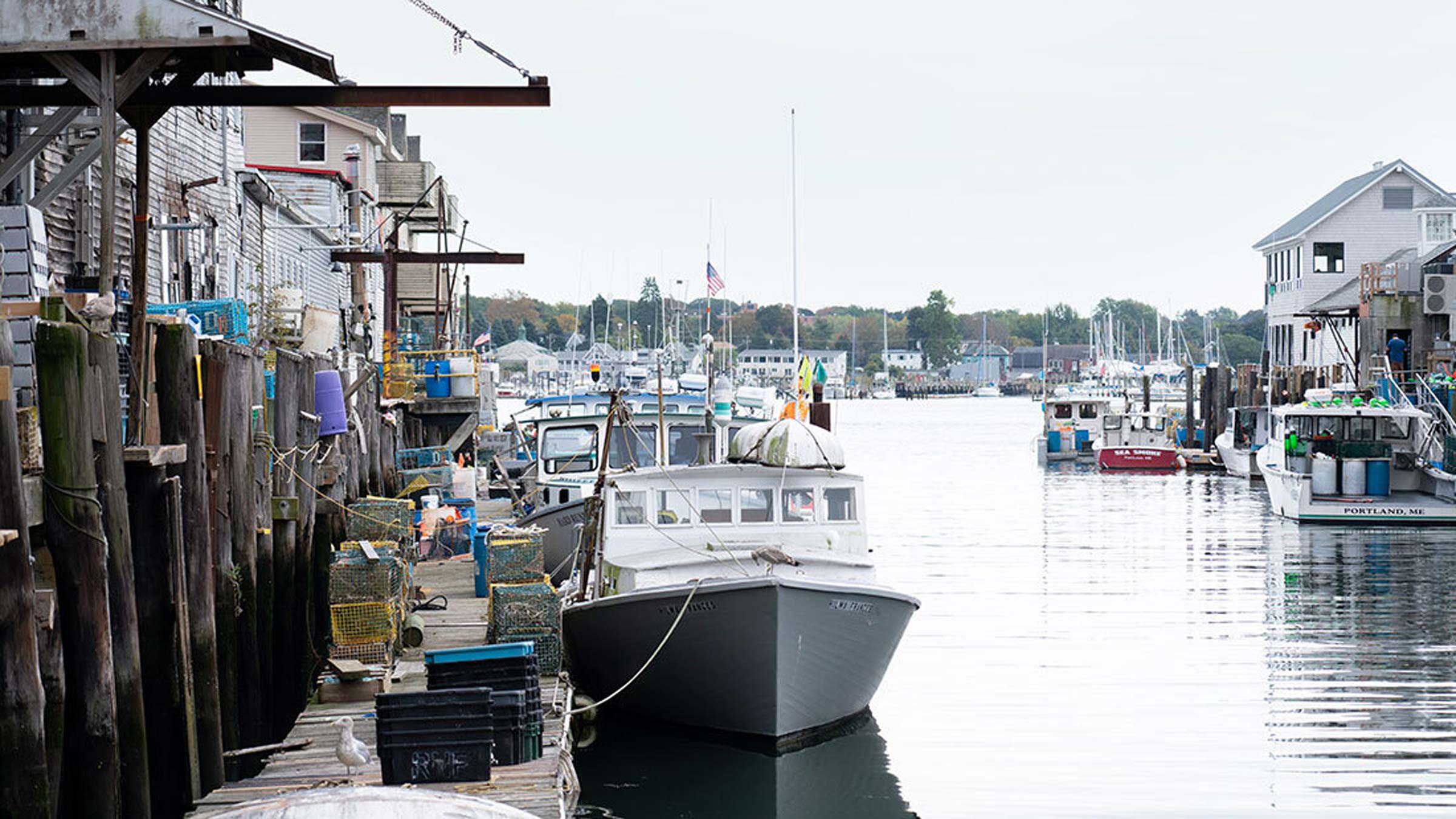 Portland is the cultural and commercial center of Cumberland County and much of southern Maine. The county is largely a coastal area in the northeastern corner of the United States, bordered by Canada and the Atlantic Ocean. Maine is known for producing 90% of the nation's lobster supply.